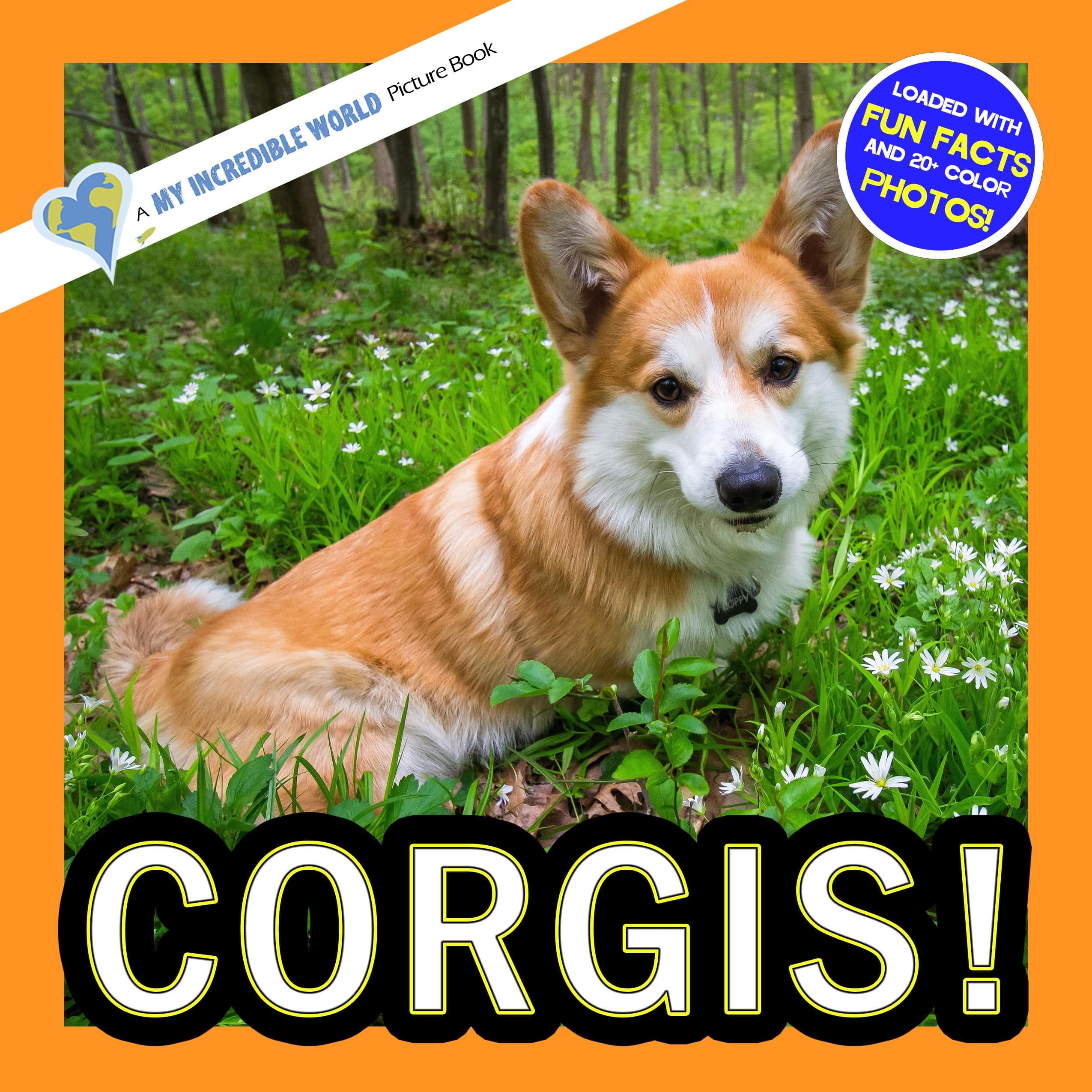 Corgis! A My Incredible World Picture Book for Children